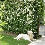 Pensionat Casa Campo Abay