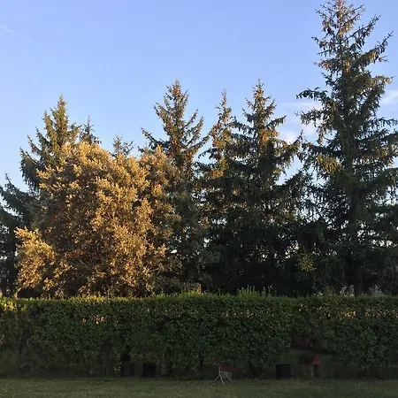 Vendégház Casa Campo Abay
