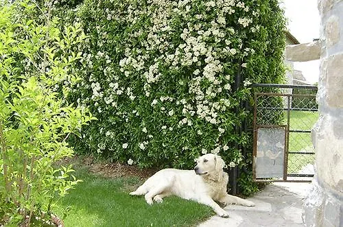 Pensionat Casa Campo Abay