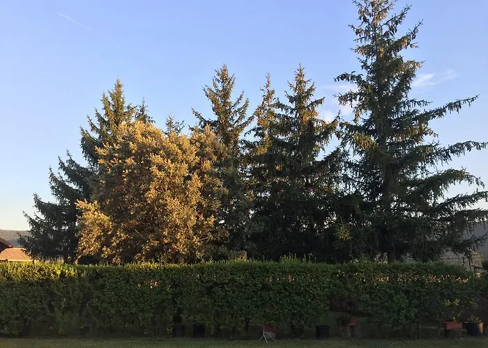 Pensionat Casa Campo Abay